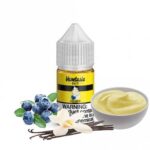 Blueberry Killer Kustard Salt Nic